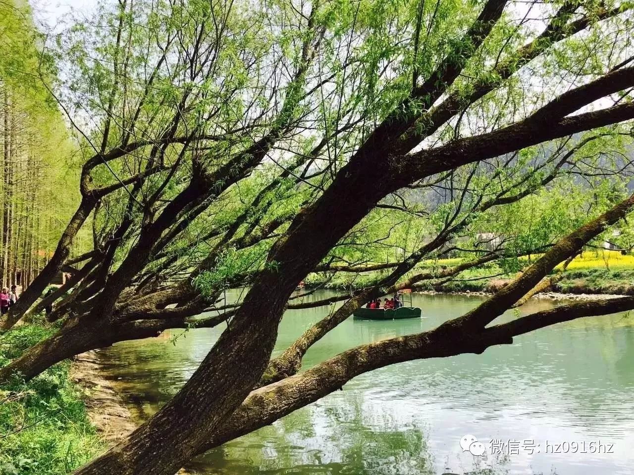 外地人在汉中生活感受,外地人眼中的汉中