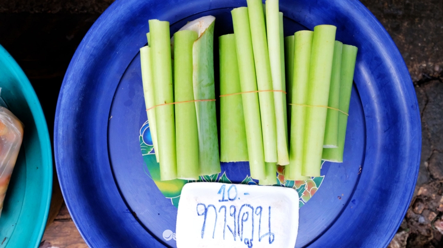 坐着小马车去赶集,坐着大巴去赶集