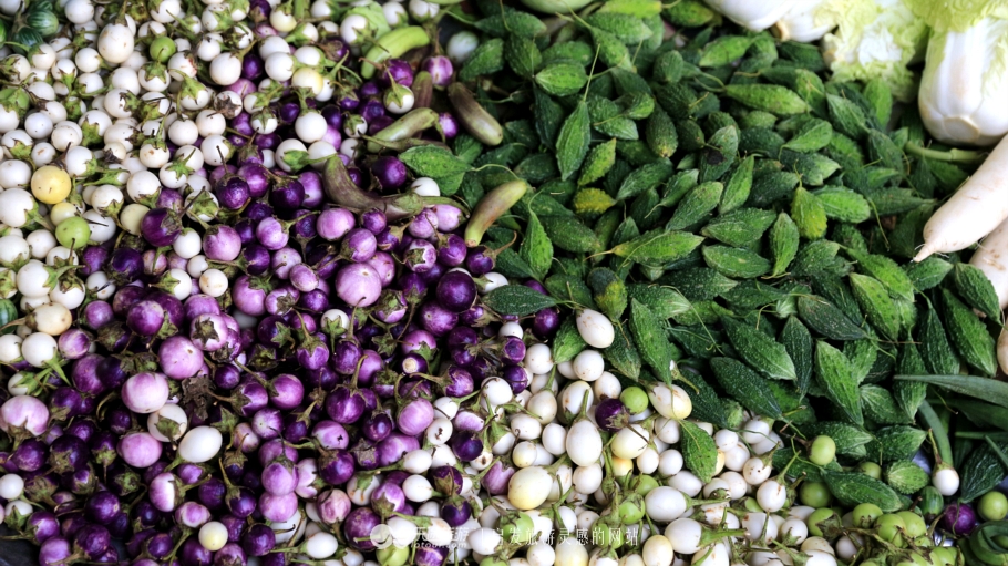 坐着小马车去赶集,坐着大巴去赶集