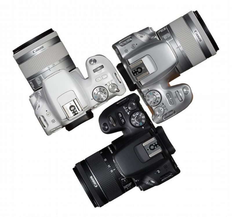 数码相机入门知识大全图解视频,数码相机入门知识大全视频下载