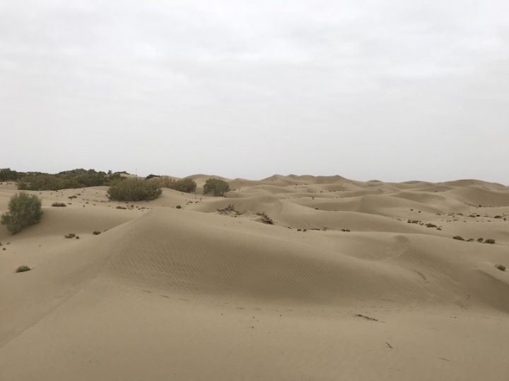 逃离阴雨缠绵的上海，说走就走的3日*疆新**胡杨游你想试试吗？｜附攻略