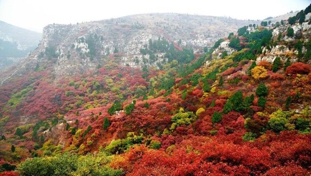 在潍坊生活压力大吗,在潍坊生活