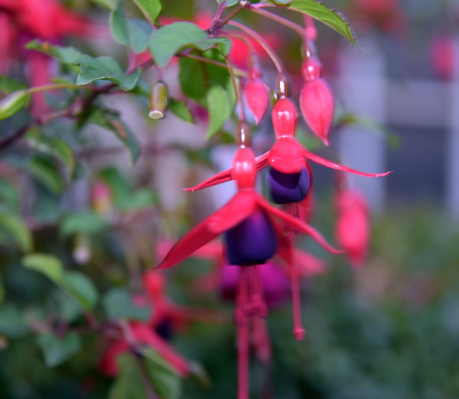 英国著名的城堡有哪些,英国城堡多少年了