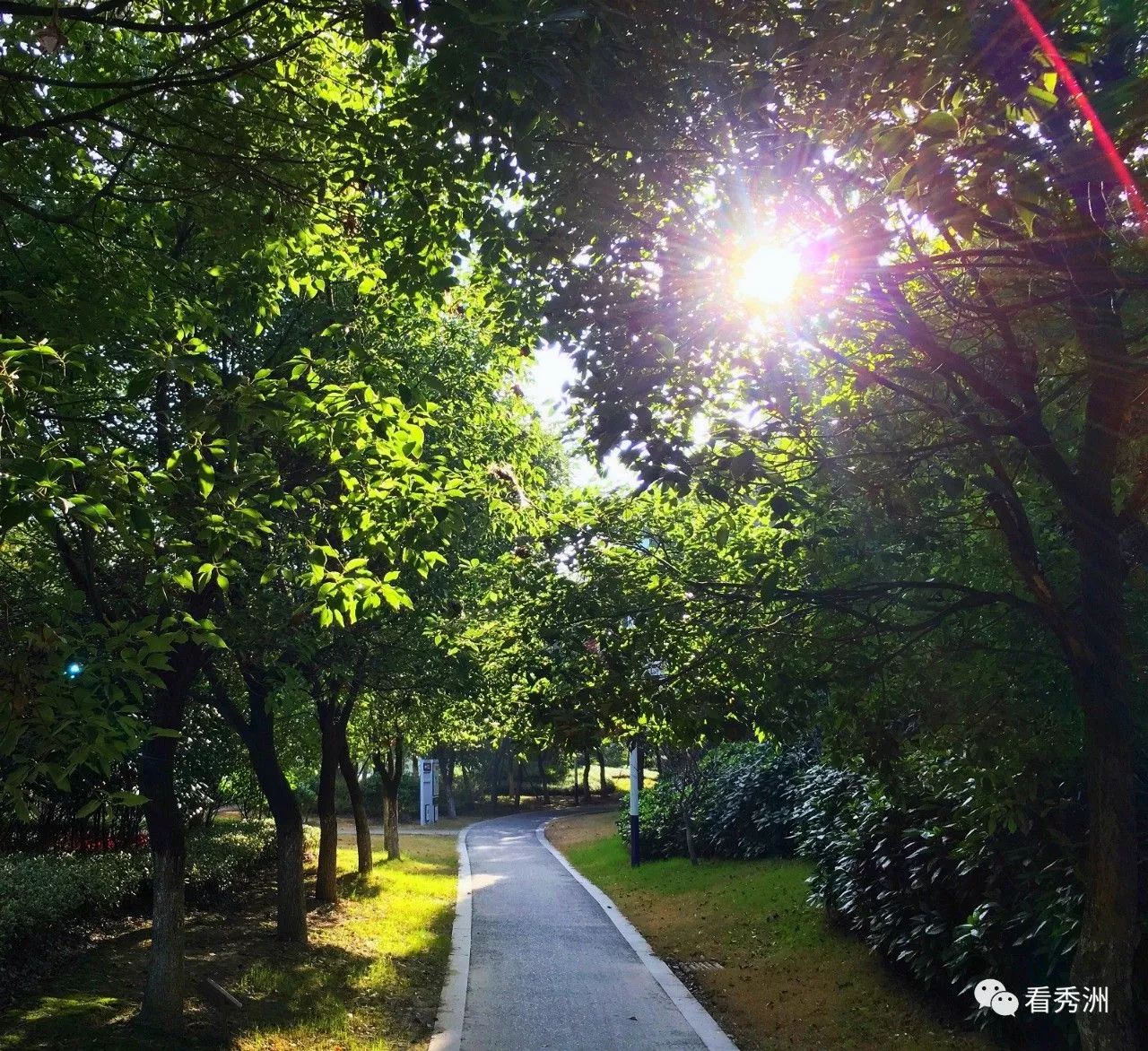 顺德美食地图手绘图文,手绘美食攻略地图