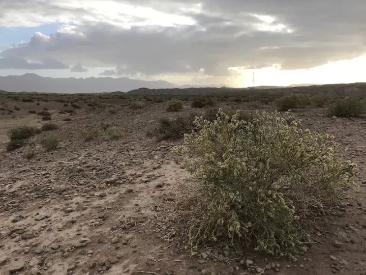 逃离阴雨缠绵的上海，说走就走的3日*疆新**胡杨游你想试试吗？｜附攻略