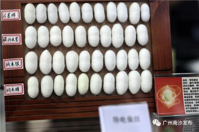 「关注」果味醒神水、蚕丝骨钉……这些高科技环保产品你听过吗？在南沙这家环保企业通通找得到！