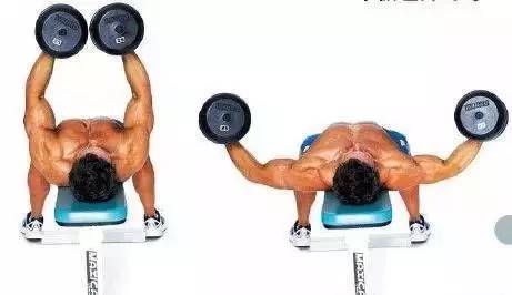 方形胸肌图片欣赏,方形胸肌