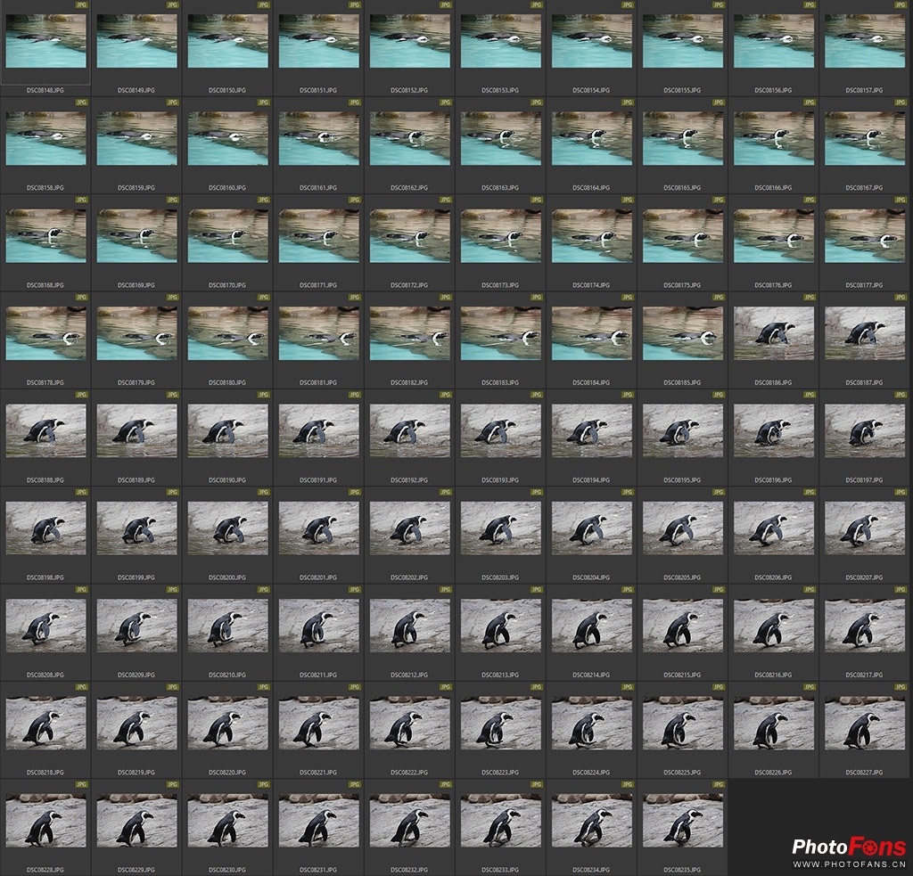 索尼黑卡rx10m4测评,索尼黑卡rx10五代