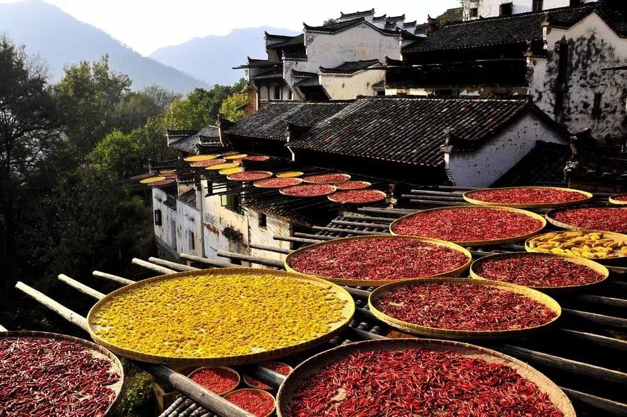 古代的重阳节是怎样过,古人过重阳节有什么习俗