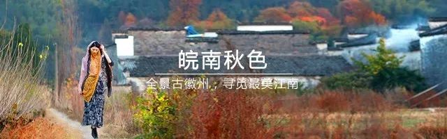 吃了酵素肚子咕咕拉肚子,吃酵素每天都拉肚子