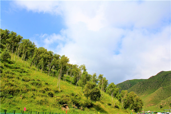 活动回顾｜欧帝亿主题狗狗巴士察哈尔草原深处探秘万年火山