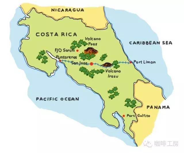 哥斯达黎加咖啡黑蜜,咖啡蜜与普通蜜区别