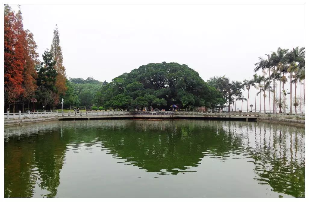 榆林到呼伦贝尔大草原怎么坐飞机,从榆林有去哪里的飞机