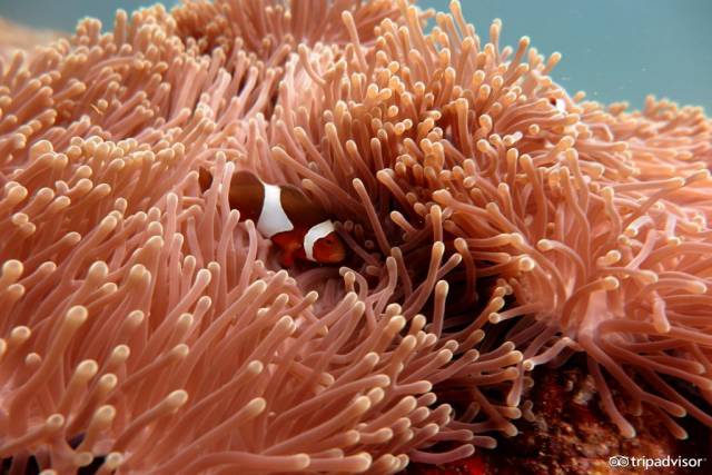 东南亚性价比最高去哪里玩,3000旅游哪里合适