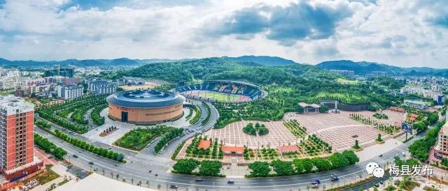 「聚焦」市区领导到宝丽华集团开展暖企行动：政企携手齐发力壮大实体经济