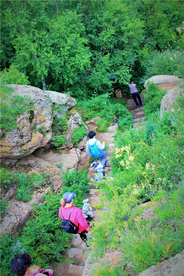 活动回顾｜欧帝亿主题狗狗巴士察哈尔草原深处探秘万年火山