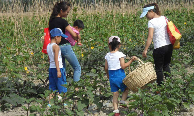 银杏舞，醉深秋｜送您最新赏杏精品自驾游线路！