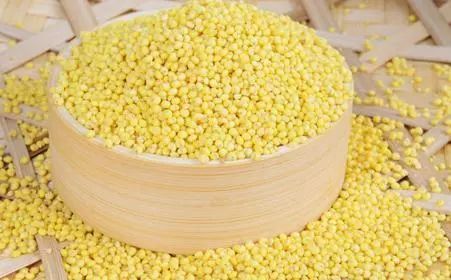 菘蓝开花,菘蓝花开