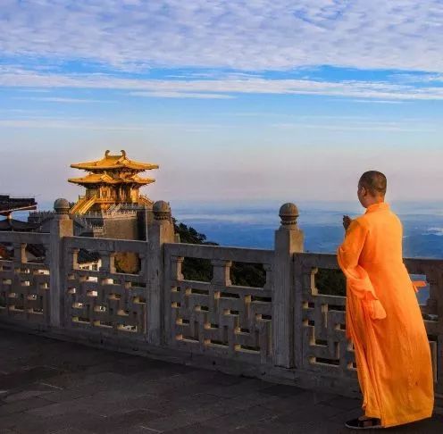 银杏舞，醉深秋｜送您最新赏杏精品自驾游线路！