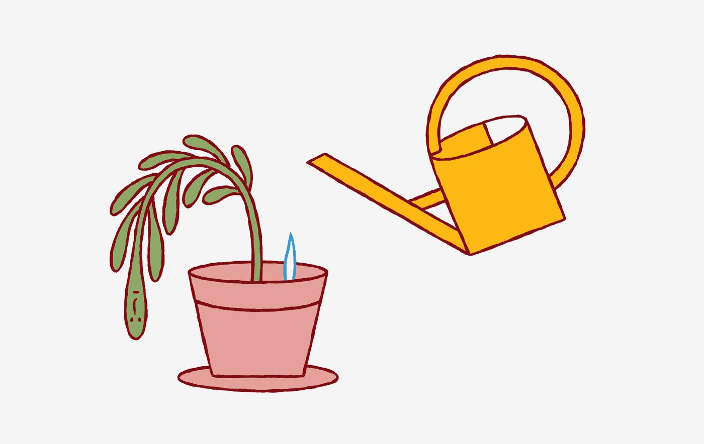 难过的时候，请收下这枚“悲伤急救包”