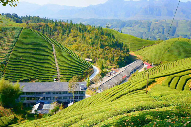 网友交流｜让更多的人知道，有一个地方叫鹤峰！