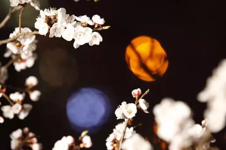 兰理工哈理工｜跨越2800公里，你好！我的东北老铁哈尔滨理工大学