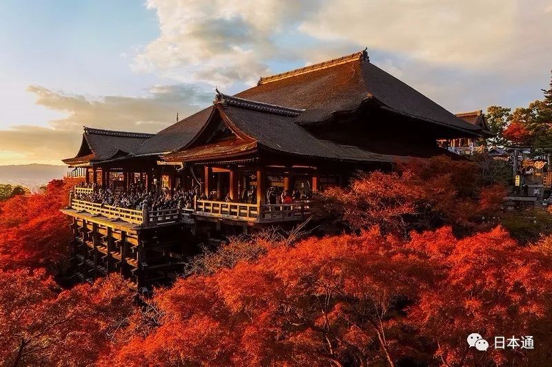 <html>
<head><title>502BadGateway</title></head>
<body>
<center><h1>502BadGateway</h1></center>
<hr><center>nginx</center>
</body>
</html>
<!--apaddingtodisableMSIEandChromefriendlyerrorpage-->
<!--apaddingtodisableMSIEandChromefriendlyerrorpage-->
<!--apaddingtodisableMSIEandChromefriendlyerrorpage-->
<!--apaddingtodisableMSIEandChromefriendlyerrorpage-->
<!--apaddingtodisableMSIEandChromefriendlyerrorpage-->
<!--apaddingtodisableMSIEandChromefriendlyerrorpage-->
