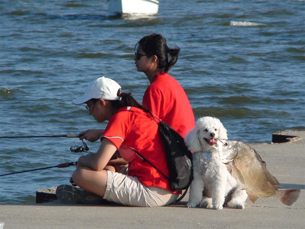 钓鱼也是一种修行修心的事情,钓鱼也是一种心境的历练