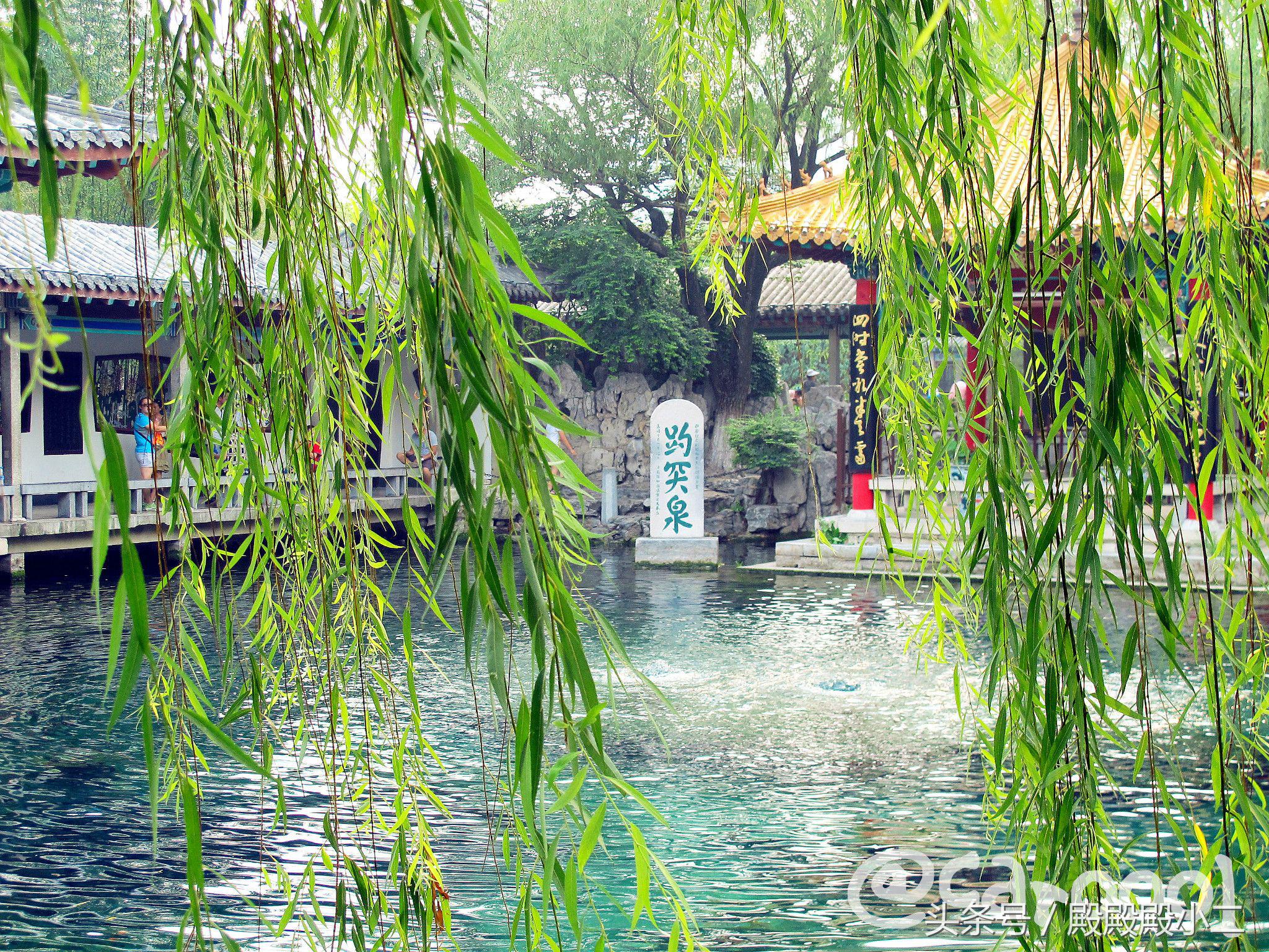 济南天下第一泉趵突泉黑虎泉游玩,诗画七十二名泉趵突泉