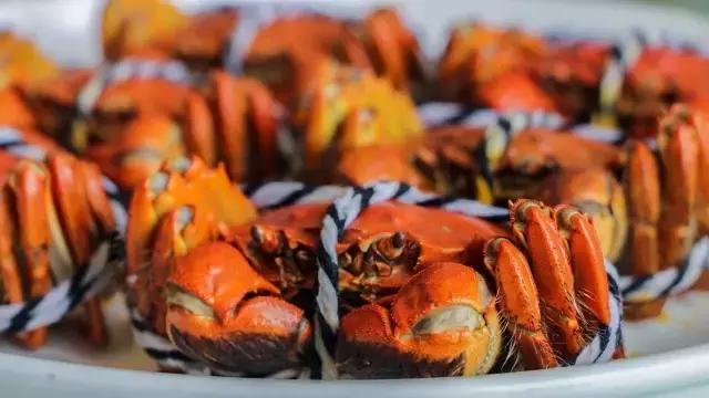 鲜冠阳澄湖大闸蟹,舌尖上的美味大闸蟹