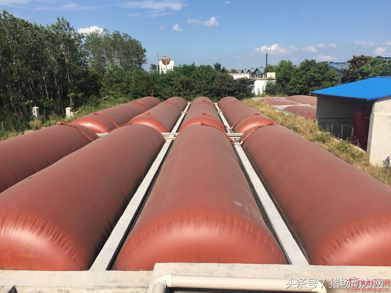 养猪场环保不合格,猪场环保不合格怎么投诉