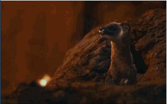 鬼吹灯黄皮子坟有必要听吗,黄皮子坟鬼吹灯1至21集免费观看