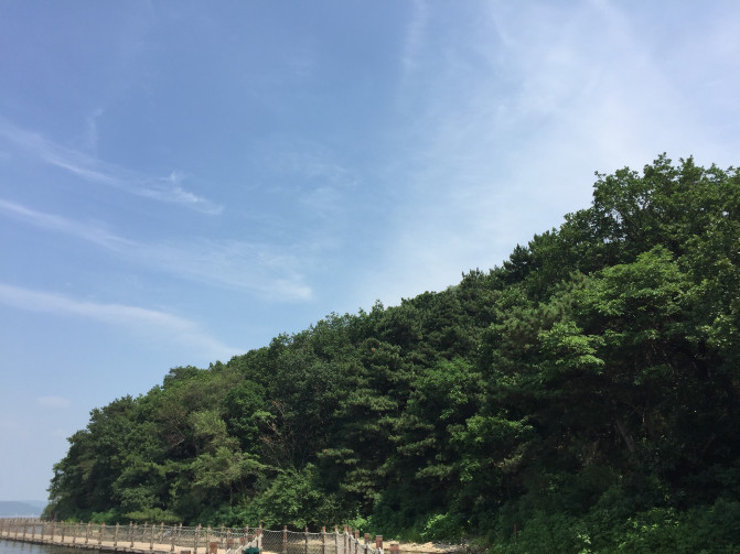 一场说走就走的环岛游,葫芦岛山海关自驾游