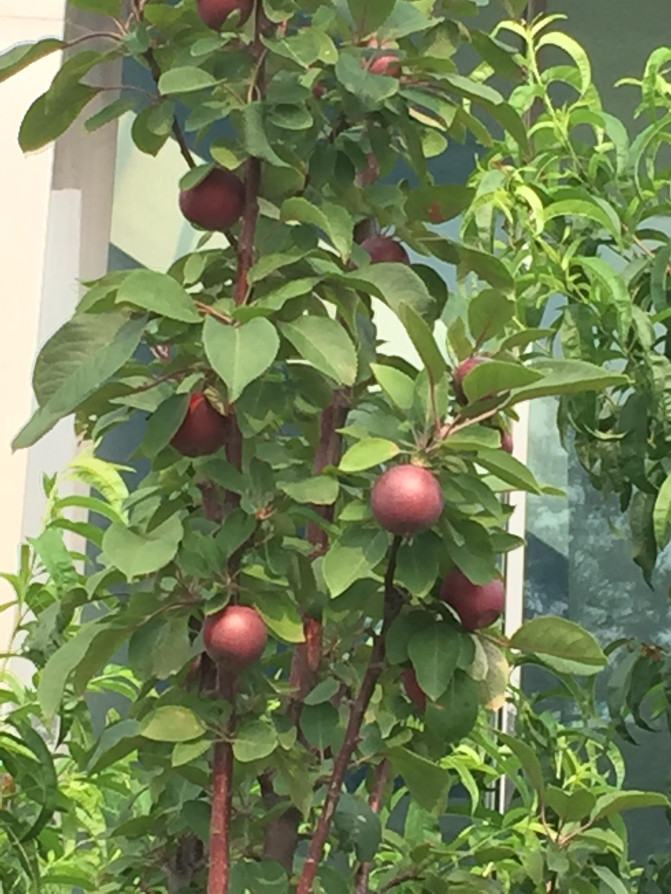 一场说走就走的环岛游,葫芦岛山海关自驾游