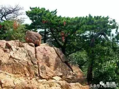 对不起，我要去鞍山了，别再找我了！