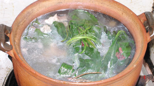 车前草好吃有什么用,车前草有哪些好吃做法