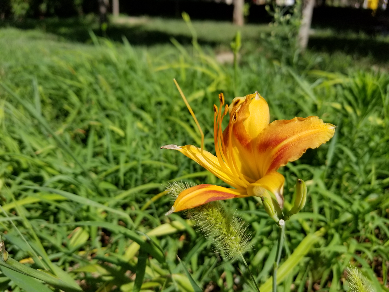 三星galaxys8和三星s8的区别,三星s8+还值得推荐吗