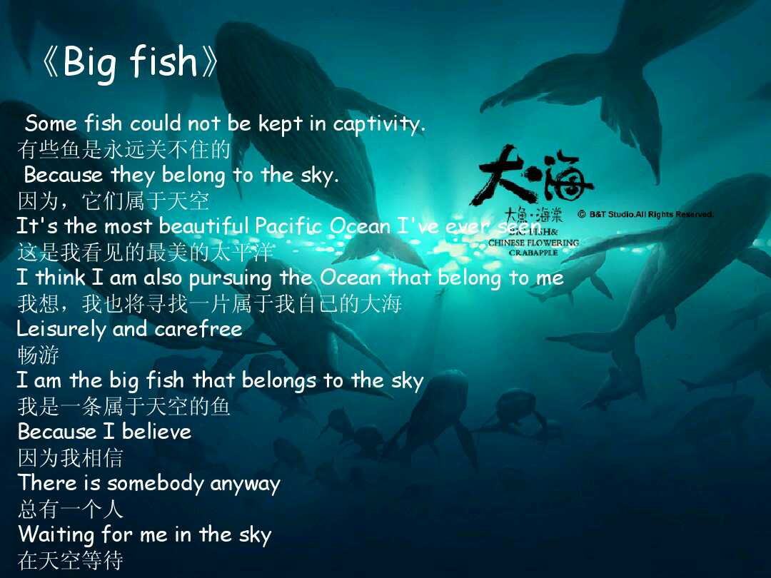 国漫崛起之大鱼海棠,国漫媲美大鱼海棠