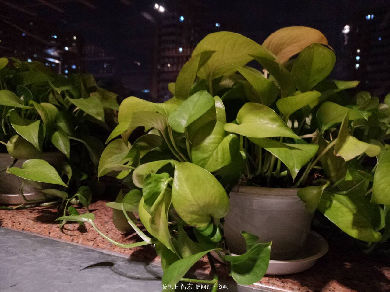 美图t8是双卡双待,美图t8手机好看吗