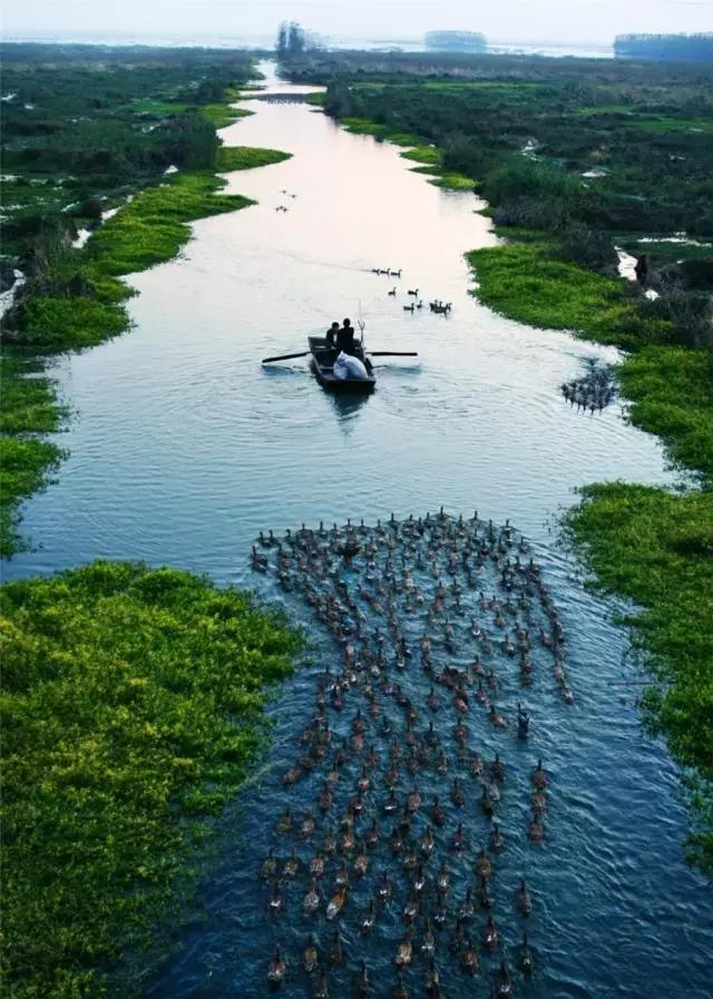 航拍济宁视频素材,航拍济宁全市区视频