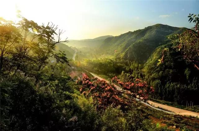 航拍济宁视频素材,航拍济宁全市区视频