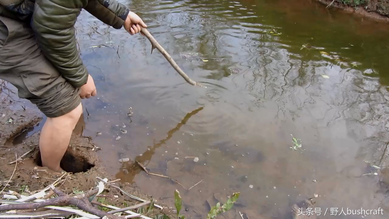 两种有效的野外捕鱼陷阱，抓不到鱼小编嫁给你！