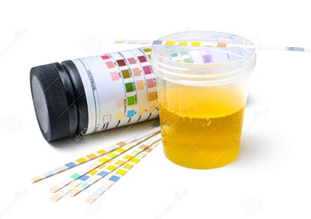 肾病患者吃了激素跟没吃一样，这是怎么回事？