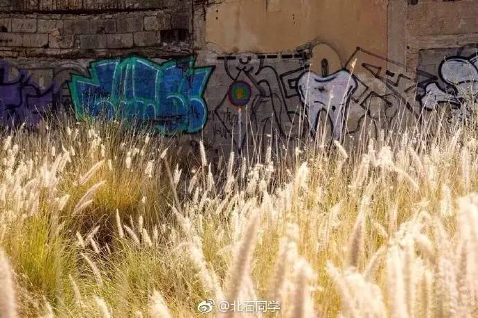 行走在北纬三十度,行走在北纬30度