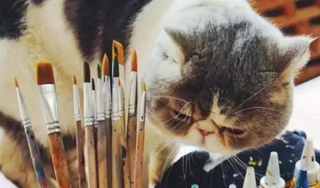 南锣最美胡同,北京南锣鼓巷胡同哪些好吃又便宜