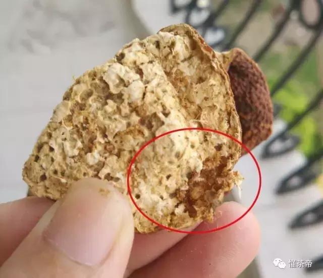 好的陈皮会有虫子吗,陈皮容易生虫子怎么办