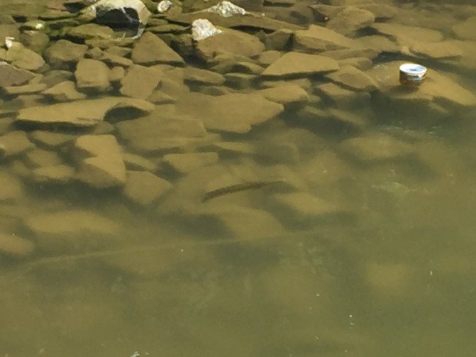 一场说走就走的环岛游,葫芦岛山海关自驾游