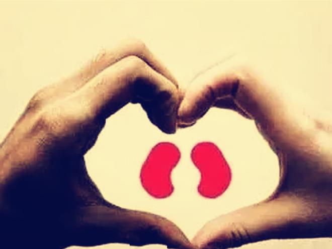 肾病患者吃了激素跟没吃一样，这是怎么回事？