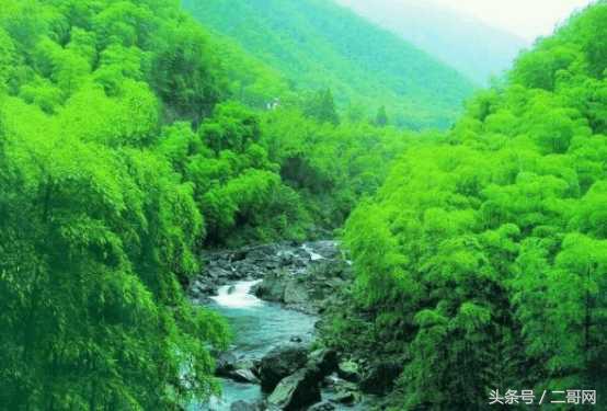 从身到心的清净！国内最美竹海你都去过吗？