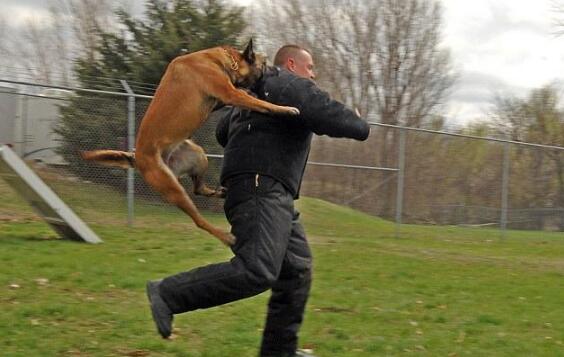 最近好运很好之后好运会不会很差,最近好运有点好